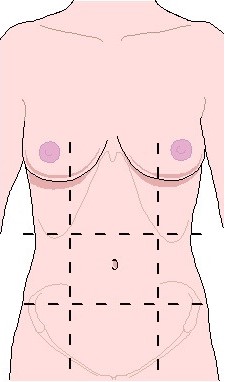 Anatomical Position