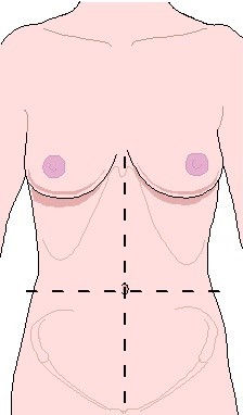 Anatomical Position